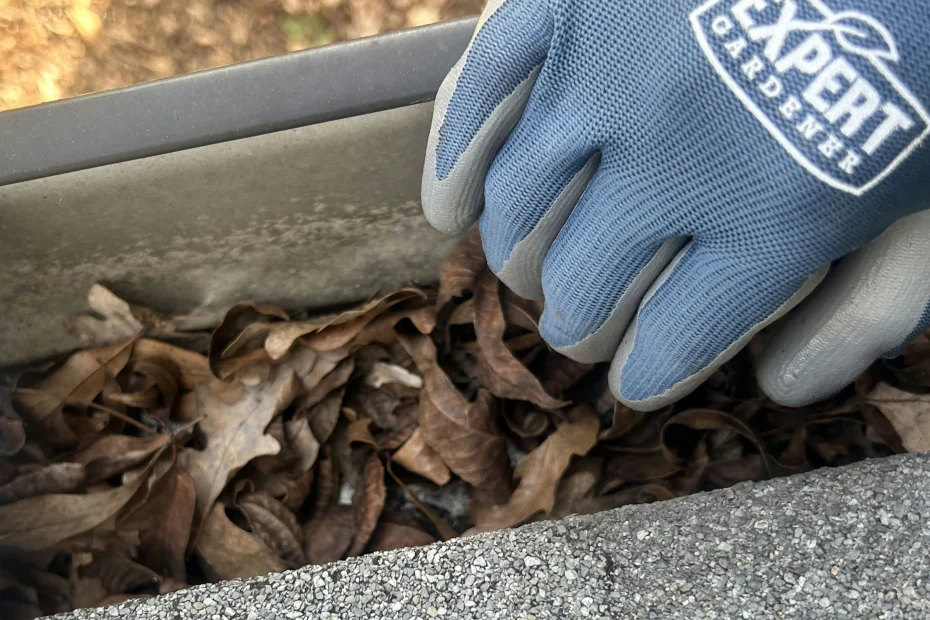 Westford Gutter Cleaning